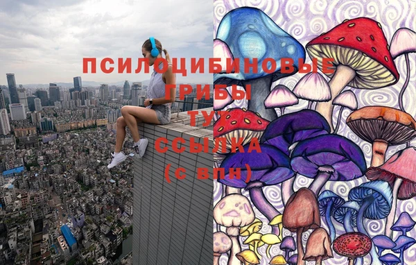 дживик Козловка