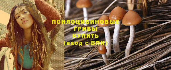 дживик Козловка