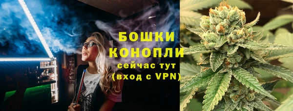 дживик Козловка