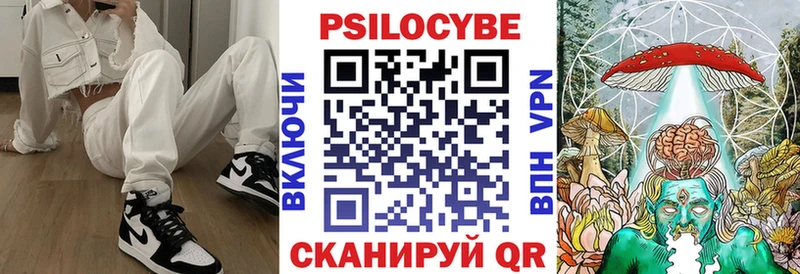 сколько стоит  Кириши  Псилоцибиновые грибы Psilocybe 