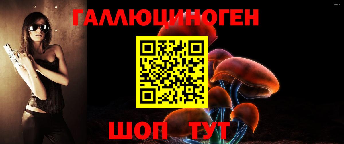 Кириши  Галлюциногенные грибы Psilocybine cubensis  Вход с VPN  купить   Псилоцибиновые грибы Psilocybine cubensis 
